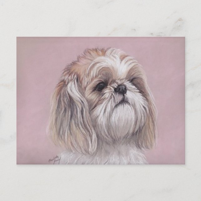 Carte postale Shih tzu Dog Art (Devant)