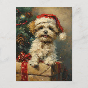Carte Postale Shih Tzu Noël