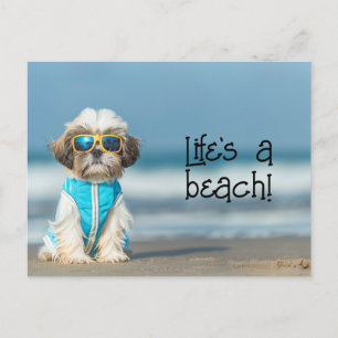 Carte Postale Shih Tzu Puppy portant des lunettes de soleil