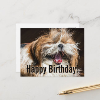 Carte Postale Shih tzu yawning laughing funny Happy birthday 