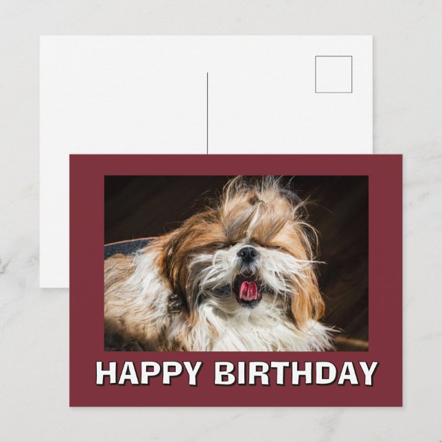 Carte Postale Shih tzu yawning tongue funny cute Happy birthday (Devant / Derrière)