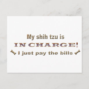 Carte Postale shihtzu