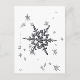 Carte postale Shimmersive Snowflake