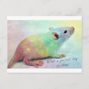 Carte Postale Shine On !