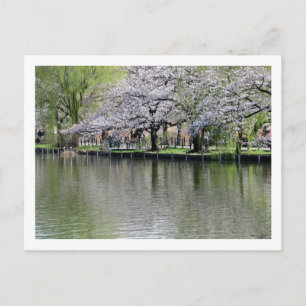 Carte Postale Shinobazu Pond au printemps : Tokyo