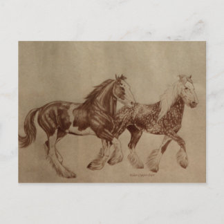 Carte Postale Shires Freedom Postcard