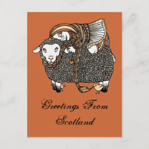 Carte postale Shonaghs Sheep