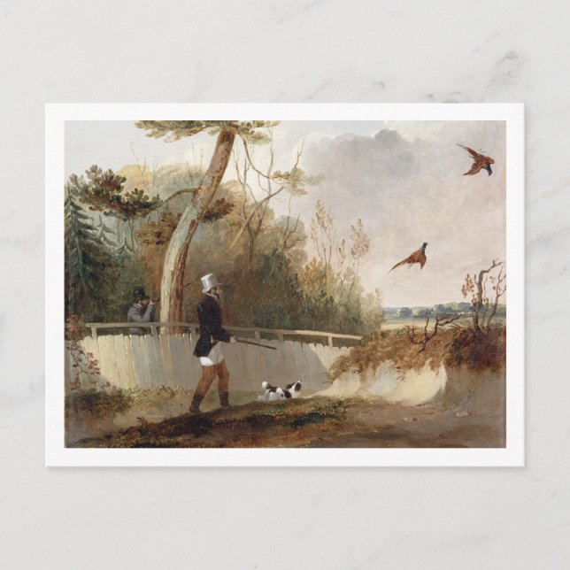 Carte Postale Shooting de Pheasant (Devant)