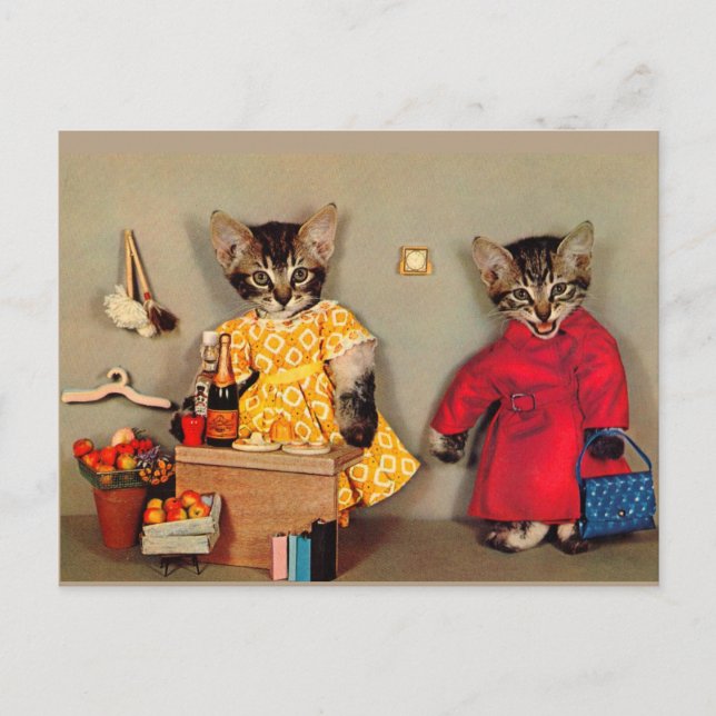 Carte Postale shopping tabby kitten et caisson tabby kitten (Devant)