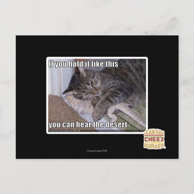 Carte Postale Si vous le tenez aimez ceci (Devant)