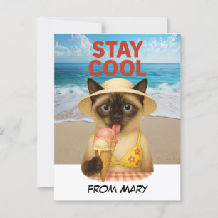 Carte Postale Siamese Cat lèche la crème glacée séjour cool