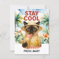 Siamese Cat lèche la crème glacée séjour cool
