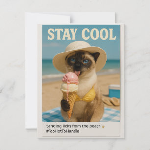 Carte Postale Siamese Cat lèche la crème glacée séjour cool