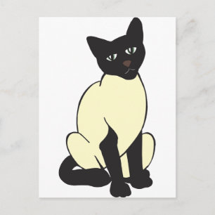 Carte Postale Siamese Chat Animaux de compagnie mignons Destiny