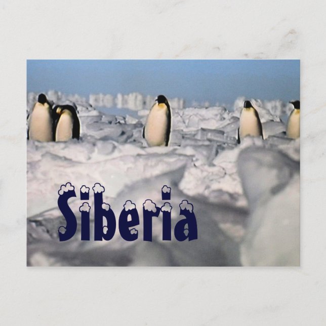 Carte Postale Siberia arctic winter  postcard (Devant)