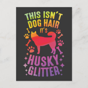 Carte Postale Sibérie Husky Dog Wolf Funny huskies Chien Cheveux