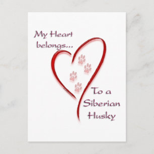Carte Postale Sibérie Husky Heart Appartient