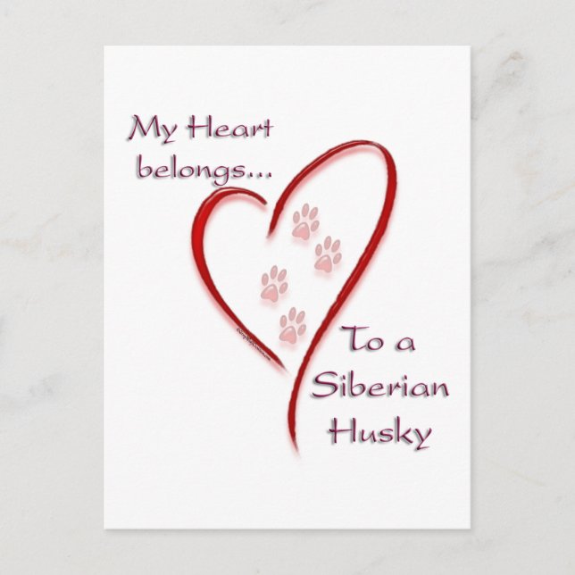 Carte Postale Sibérie Husky Heart Appartient (Devant)