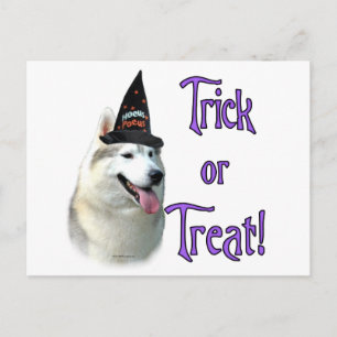 Carte Postale Sibérie Husky Trick