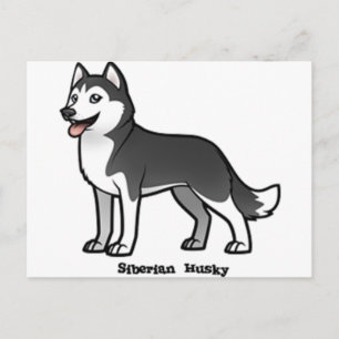 Carte Postale Sibérien Husky