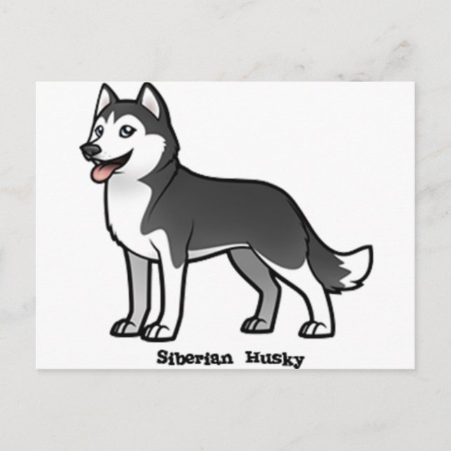 Carte Postale Sibérien Husky (Devant)