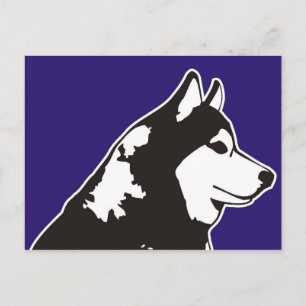 Carte Postale Sibérien Husky