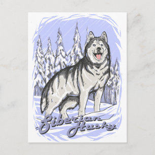 Carte Postale Sibérien Husky