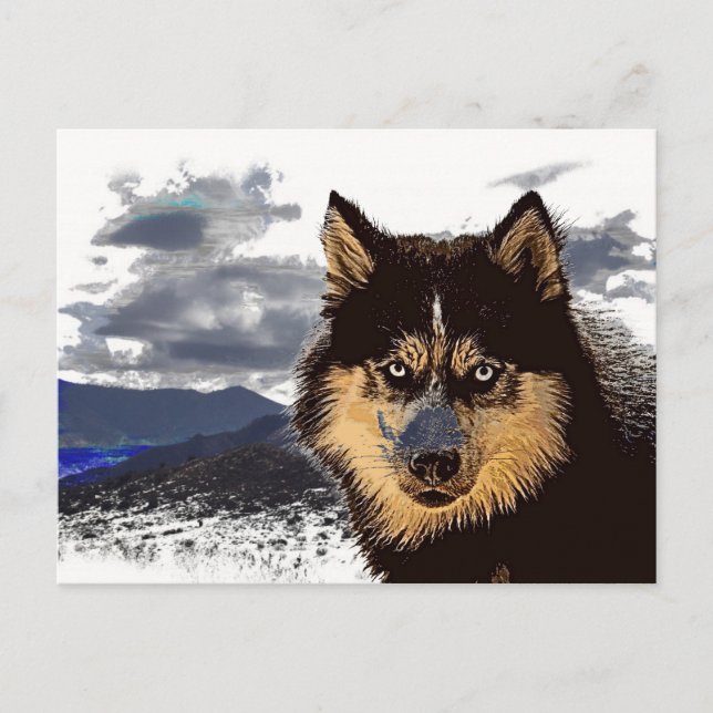 Carte postale Sibérienne Husky (Devant)