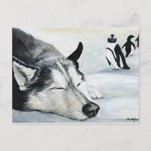 Carte postale Sibérienne Husky Dog Art