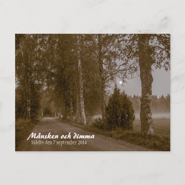 Carte postale Sideby Månsken och dimma CC0545 (Devant)