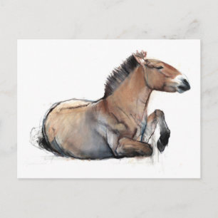 Carte Postale Siège Przewalski 2011