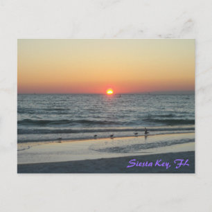 Carte postale Siesta Key Florida Sunset