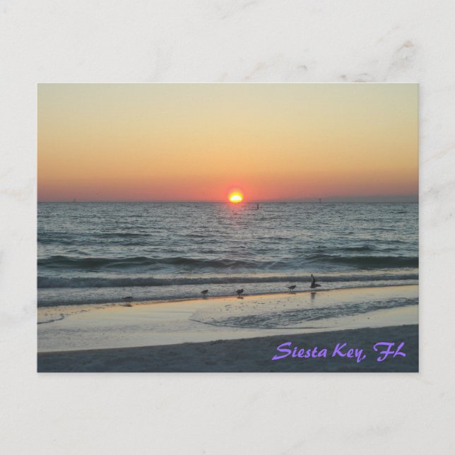 Carte postale Siesta Key Florida Sunset (Devant)