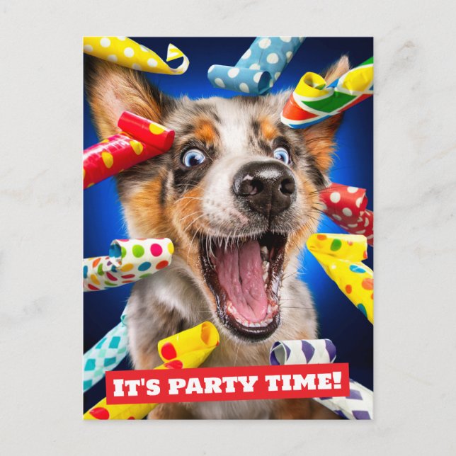 Carte Postale Sifflets pour fête de chien heureux (Devant)