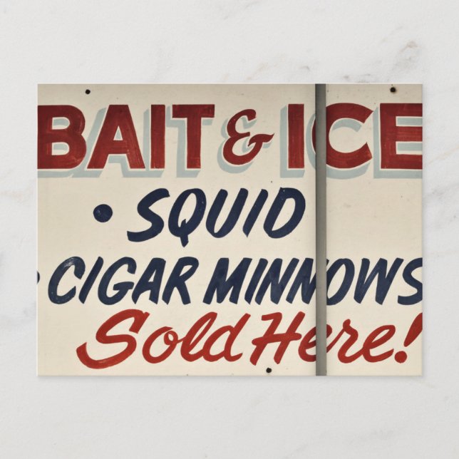 Carte Postale Sign de Bait Shop (Devant)