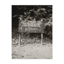 Signal d'avertissement de l'arbre à picorer