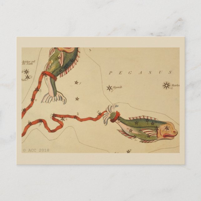 Carte Postale SIGNE Zodiaque Pisces (Devant)