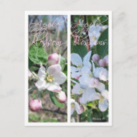 SIGNETS FLEURS DE POMMIER