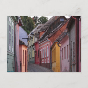 Carte Postale Sihgisoara, maisons päinted
