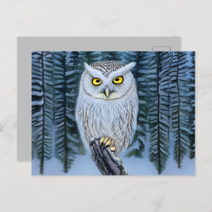 Carte Postale Silent Watch - Northern Winter Woods Grey Owl
