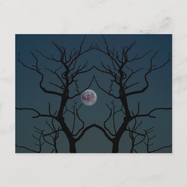 Carte Postale Silhouette Arbre Lune (Devant)
