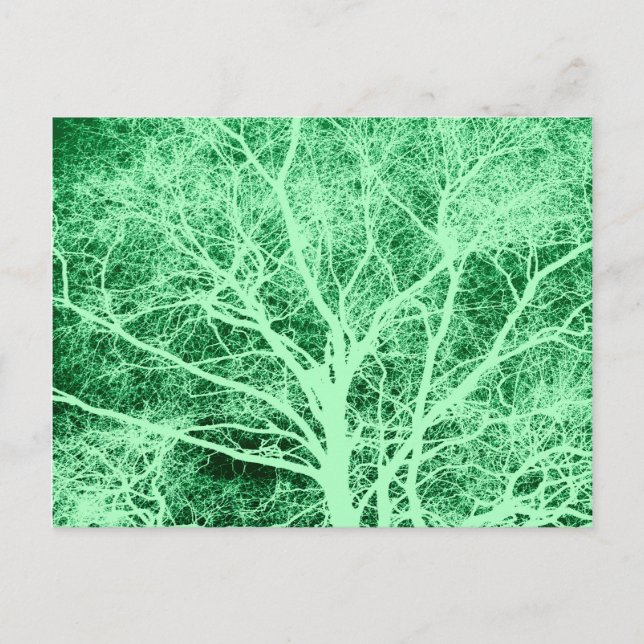 Carte Postale Silhouette d'arbre vert (Devant)