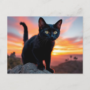 Carte postale silhouette de chat noir au coucher d