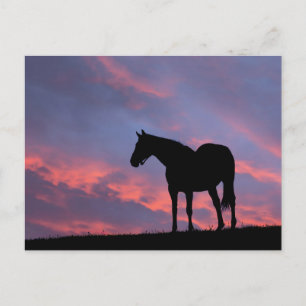 Carte Postale Silhouetté de cheval à gorge profonde au lever du 