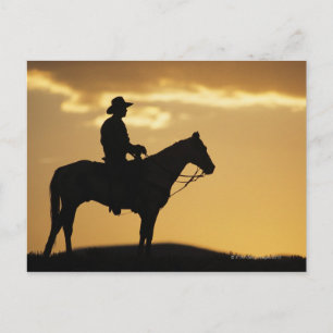 Carte Postale Silhouette de cow-boy à cheval au coucher du solei