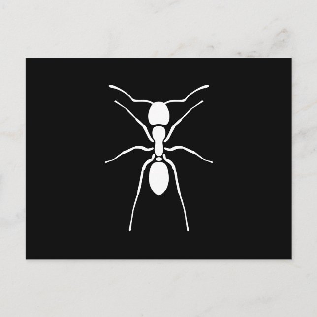 Carte Postale Silhouette de fourmi blanche personnalisée (Devant)