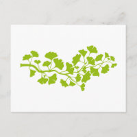 silhouette de ginkgo avec feuilles verts