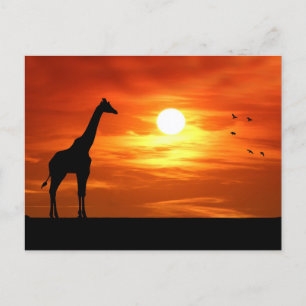 Carte Postale Silhouette de girafe au coucher du soleil