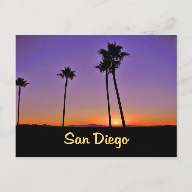 Carte Postale Silhouette De Palmier À San Diego (Devant)