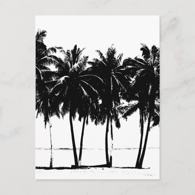 Carte Postale Silhouette de palmiers blancs noirs (Devant)